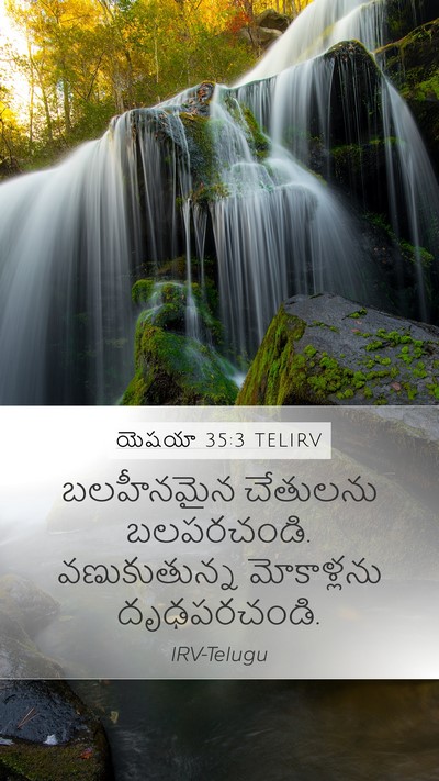 యెషయా 35:3 TELIRV Bible Verse Image