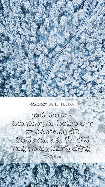 యెషయా 38:13 TELIRV Bible Verse Image