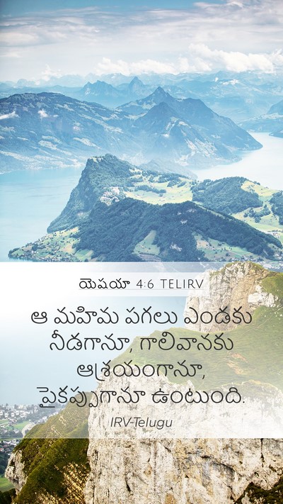 యెషయా 4:6 TELIRV Bible Verse Image