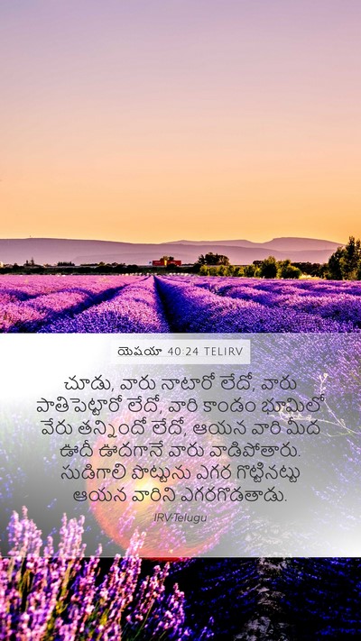 యెషయా 40:24 TELIRV Bible Verse Image