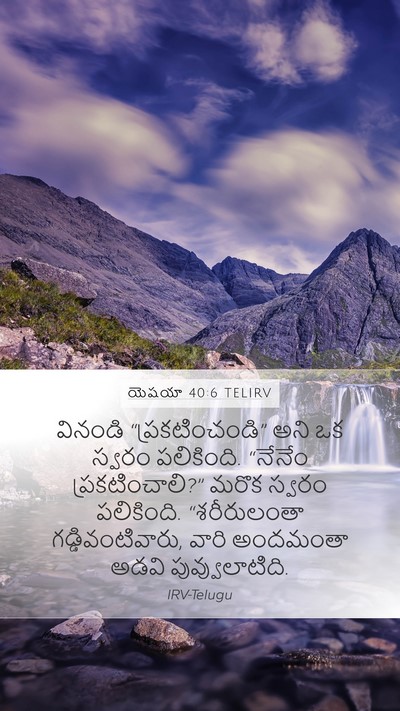 యెషయా 40:6 TELIRV Bible Verse Image