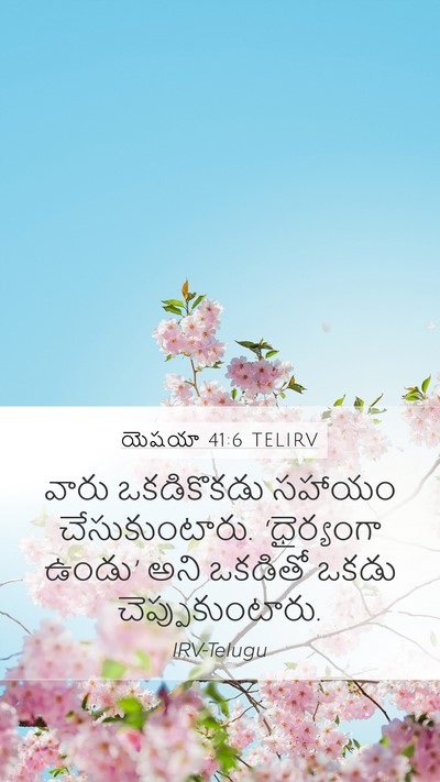యెషయా 41:6 TELIRV Bible Verse Image