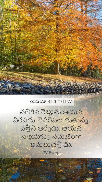 యెషయా 42:3 TELIRV Bible Verse Image
