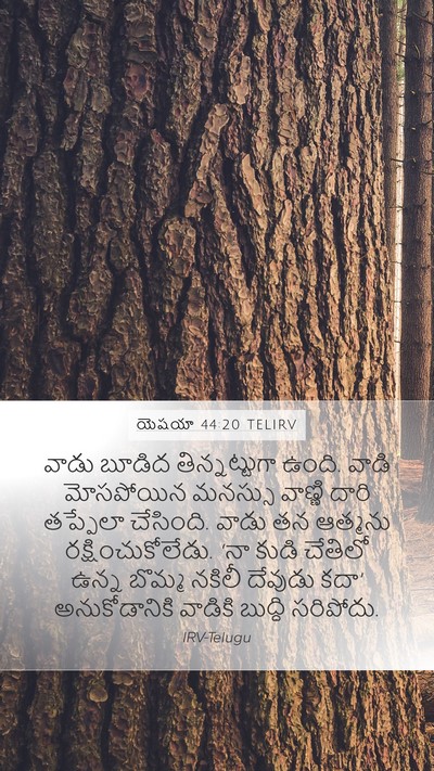 యెషయా 44:20 TELIRV Bible Verse Image