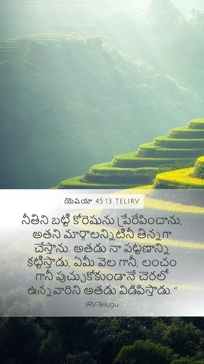 యెషయా 45:13 TELIRV Mobile Phone Wallpaper - నీతిని బట్టి - Mobile Bible Verse Wallpaper