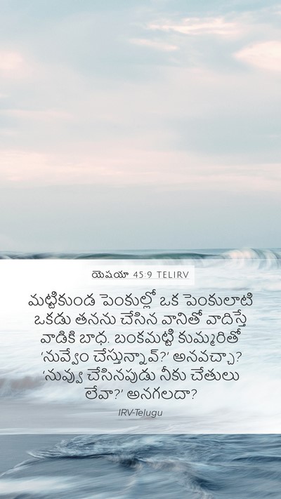 యెషయా 45:9 TELIRV Bible Verse Image