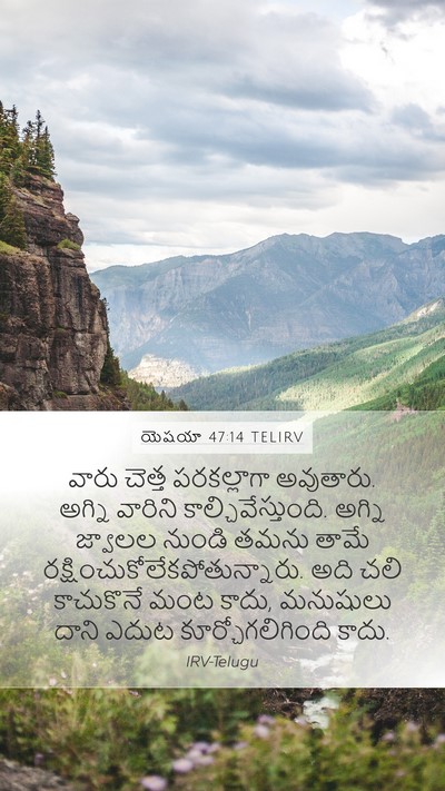 యెషయా 47:14 TELIRV Bible Verse Image
