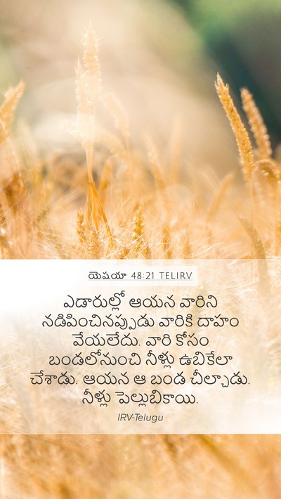యెషయా 48:21 TELIRV Bible Verse Image