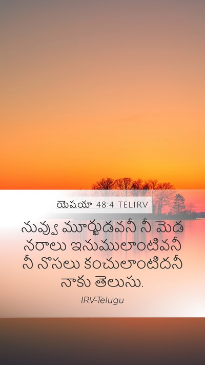 యెషయా 48:4 TELIRV Bible Verse Image