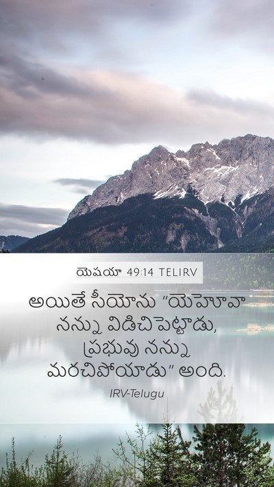 యెషయా 49:14 TELIRV Mobile Phone Wallpaper - అయితే సీయోను - Mobile Bible Verse Wallpaper