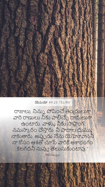 యెషయా 49:23 TELIRV Bible Verse Image