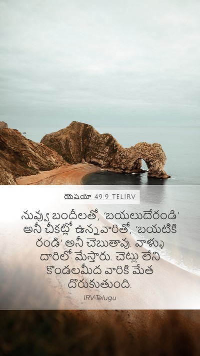 యెషయా 49:9 TELIRV Bible Verse Image