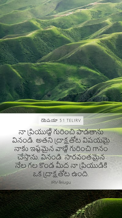 యెషయా 5:1 TELIRV Bible Verse Image
