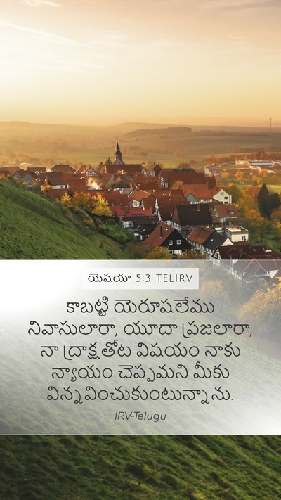 యెషయా 5:3 TELIRV Bible Verse Image