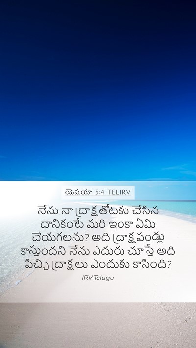 యెషయా 5:4 TELIRV Bible Verse Image