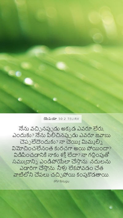 యెషయా 50:2 TELIRV Bible Verse Image