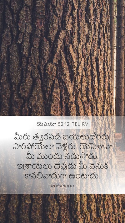 యెషయా 52:12 TELIRV Bible Verse Image
