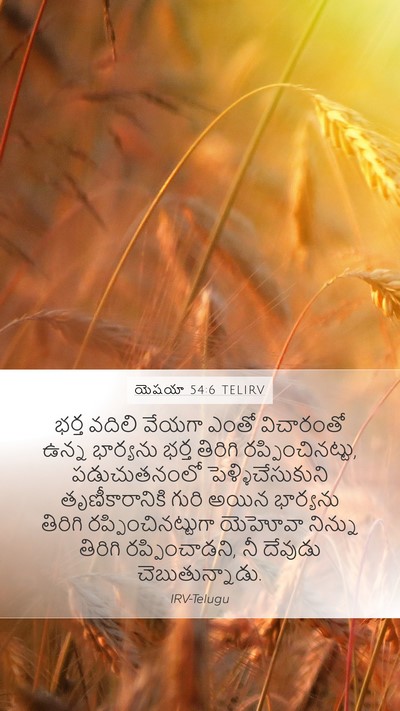 యెషయా 54:6 TELIRV Bible Verse Image