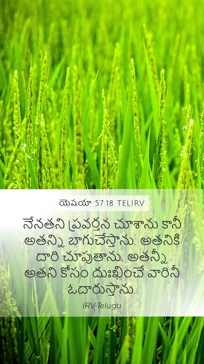 యెషయా 57:18 TELIRV Bible Verse Image