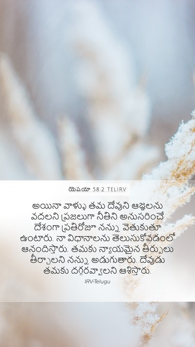 యెషయా 58:2 TELIRV Bible Verse Image