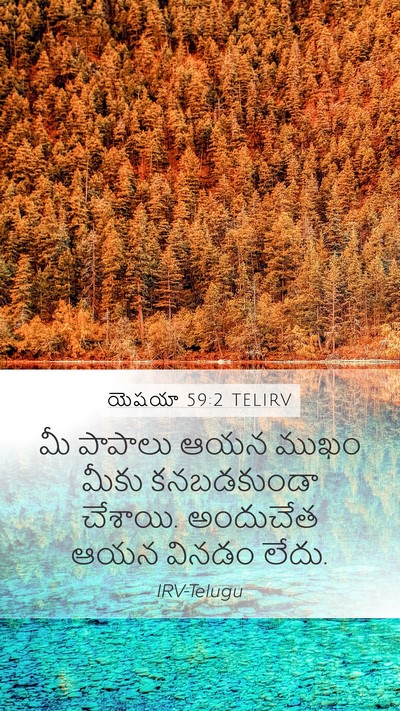 యెషయా 59:2 TELIRV Bible Verse Image