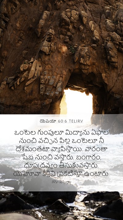 యెషయా 60:6 TELIRV Bible Verse Image