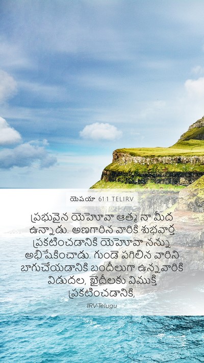 యెషయా 61:1 TELIRV Bible Verse Image