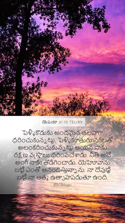 యెషయా 61:10 TELIRV Bible Verse Image