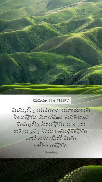యెషయా 61:6 TELIRV Mobile Phone Wallpaper - మిమ్మల్ని యెహోవా - Mobile Bible Verse Wallpaper