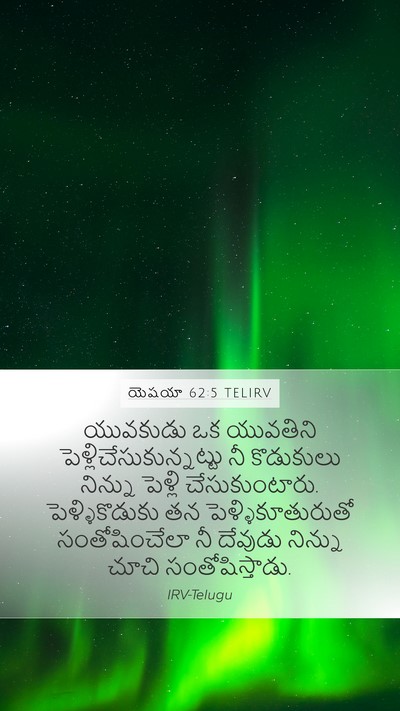 యెషయా 62:5 TELIRV Bible Verse Image