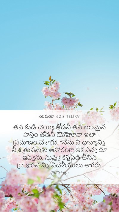 యెషయా 62:8 TELIRV Bible Verse Image