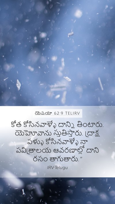 యెషయా 62:9 TELIRV Mobile Phone Wallpaper - కోత కోసినవాళ్ళే - Mobile Bible Verse Wallpaper
