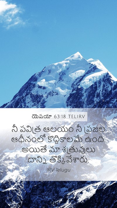 యెషయా 63:18 TELIRV Bible Verse Image