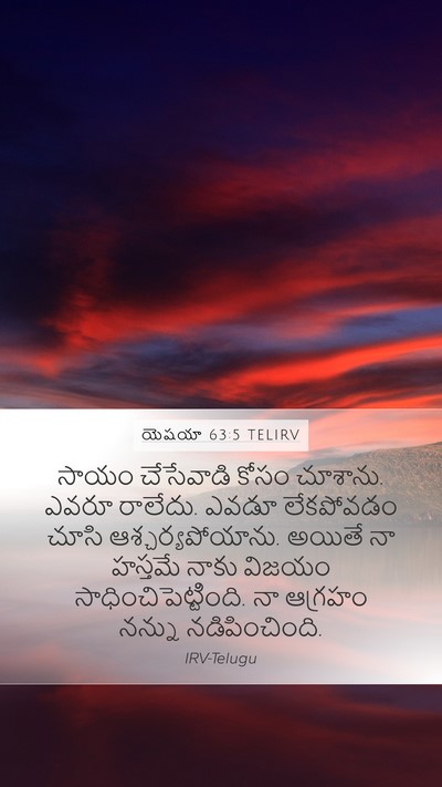 యెషయా 63:5 TELIRV Bible Verse Image