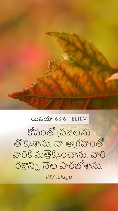 యెషయా 63:6 TELIRV Bible Verse Image