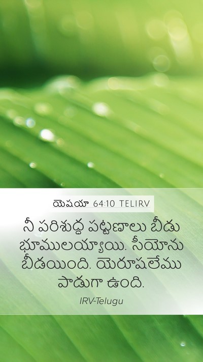యెషయా 64:10 TELIRV Mobile Phone Wallpaper - నీ పరిశుద్ధ - Mobile Bible Verse Wallpaper