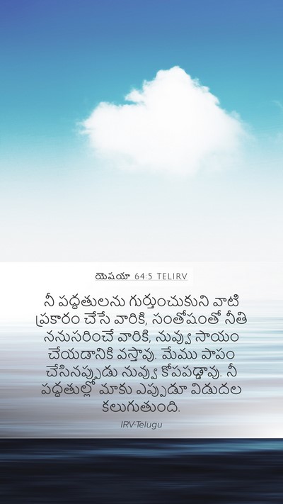 యెషయా 64:5 TELIRV Bible Verse Image