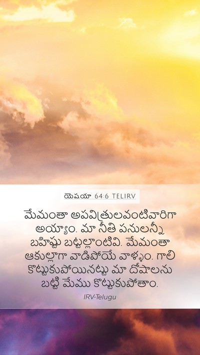 యెషయా 64:6 TELIRV Bible Verse Image