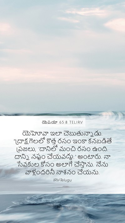 యెషయా 65:8 TELIRV Bible Verse Image