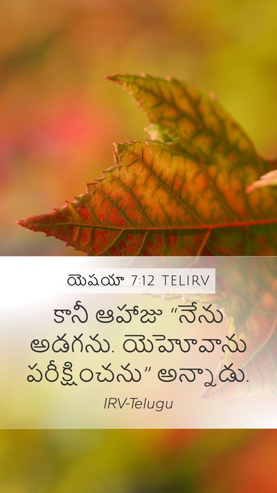 యెషయా 7:12 TELIRV Bible Verse Image