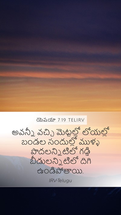 యెషయా 7:19 TELIRV Mobile Phone Wallpaper - అవన్నీ వచ్చి - Mobile Bible Verse Wallpaper