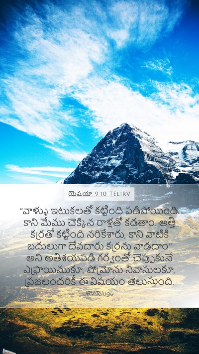 యెషయా 9:10 TELIRV Bible Verse Image