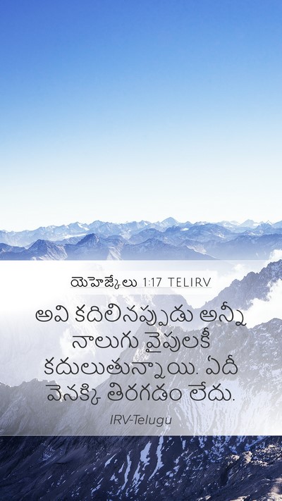 యెహెజ్కేలు 1:17 TELIRV Bible Verse Image