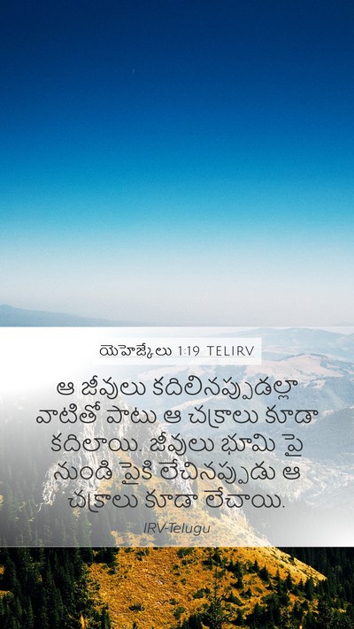 యెహెజ్కేలు 1:19 TELIRV Bible Verse Image