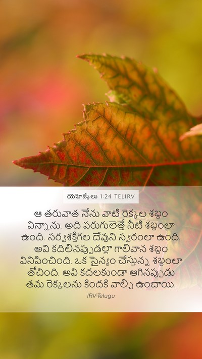 యెహెజ్కేలు 1:24 TELIRV Bible Verse Image