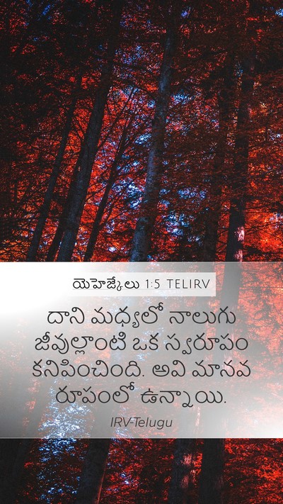 యెహెజ్కేలు 1:5 TELIRV Bible Verse Image