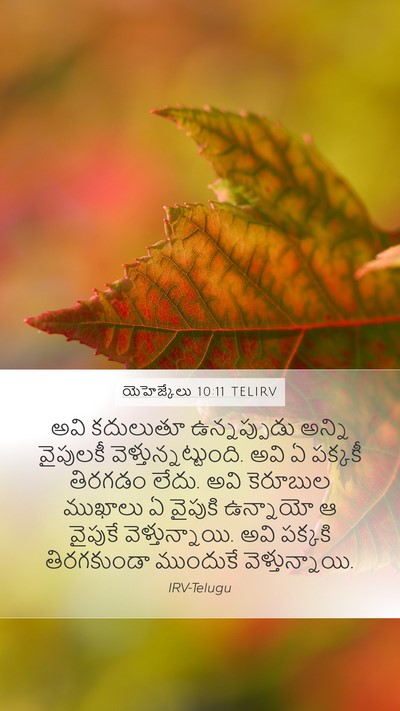 యెహెజ్కేలు 10:11 TELIRV Bible Verse Image