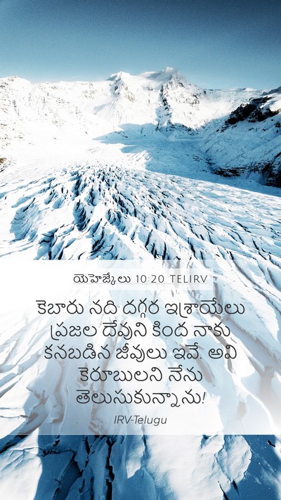 యెహెజ్కేలు 10:20 TELIRV Bible Verse Image