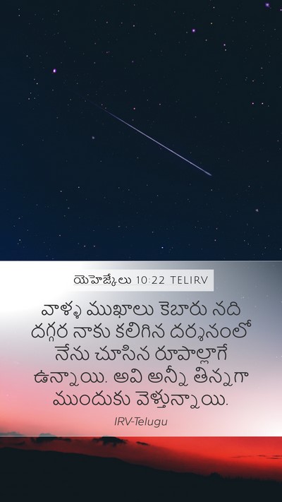 యెహెజ్కేలు 10:22 TELIRV Bible Verse Image