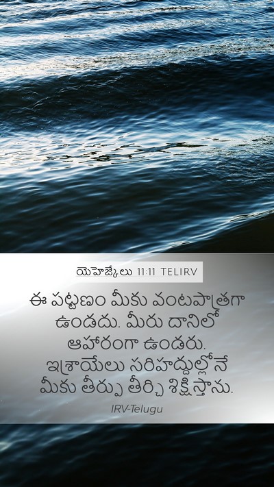 యెహెజ్కేలు 11:11 TELIRV Mobile Phone Wallpaper - ఈ పట్టణం మీకు - Mobile Bible Verse Wallpaper